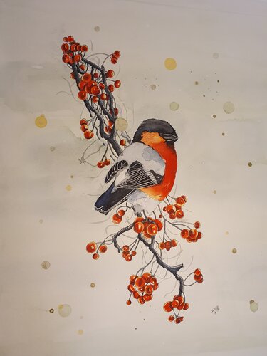 Magenta- eine Winterliebe, aus der Serie Cyan, Magenta, Yellow, hier ein kraftvoller Gimpel van Bianca Käch, Schilderij te koop op Singulart