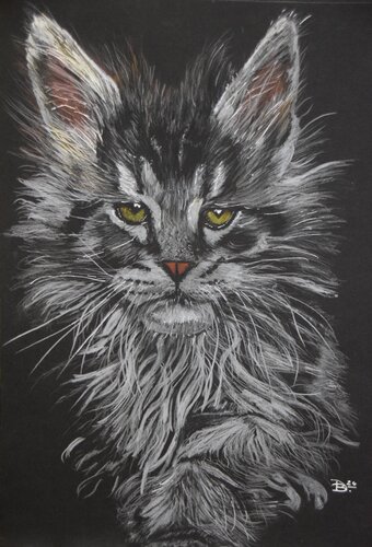 Maine Coon Kater von Birger Dicke, Malerei kaufen auf Singulart