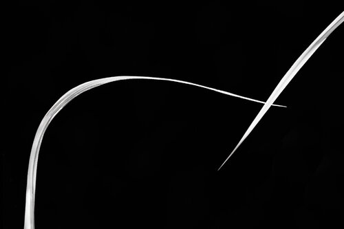 Pas de Deux par Nathan Dean, Photographie en vente sur Singulart