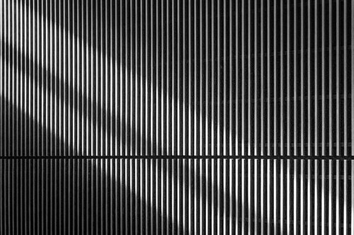 Sunlit Wall Nathan Dean
