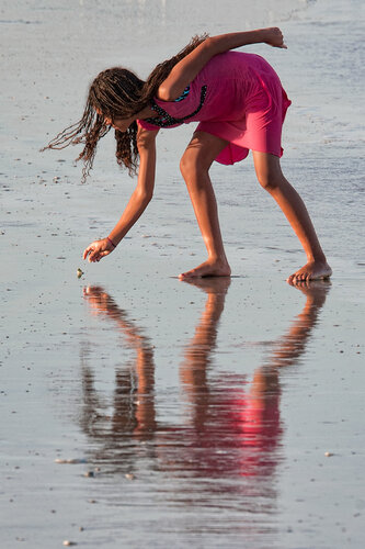 The Shell Seeker van Nathan Dean, Fotografie te koop op Singulart
