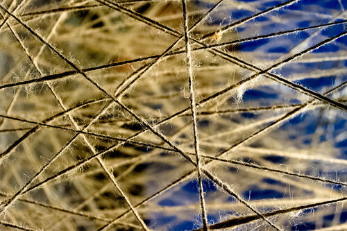 Strings in Space van Nathan Dean, Fotografie te koop op Singulart