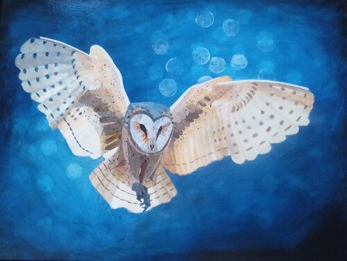 Barn Owl von Alison Adams, Andere Medien kaufen auf Singulart