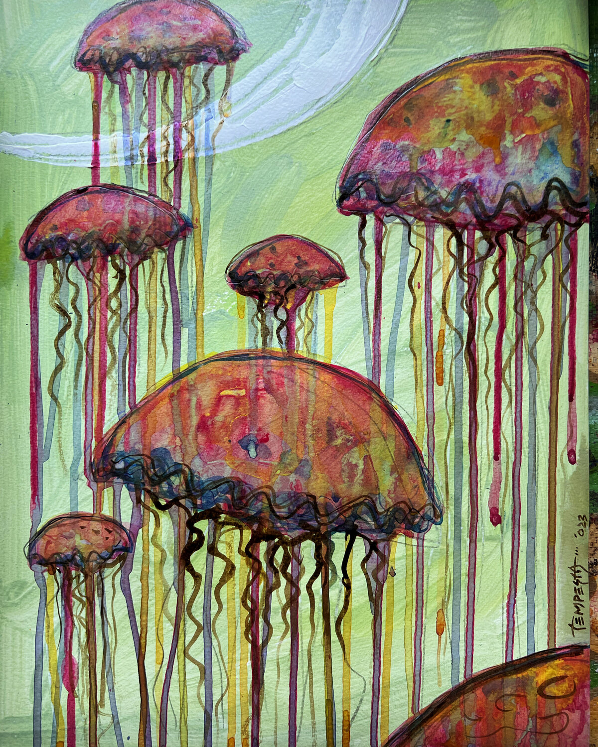 Jellyfish Franco Tempesta