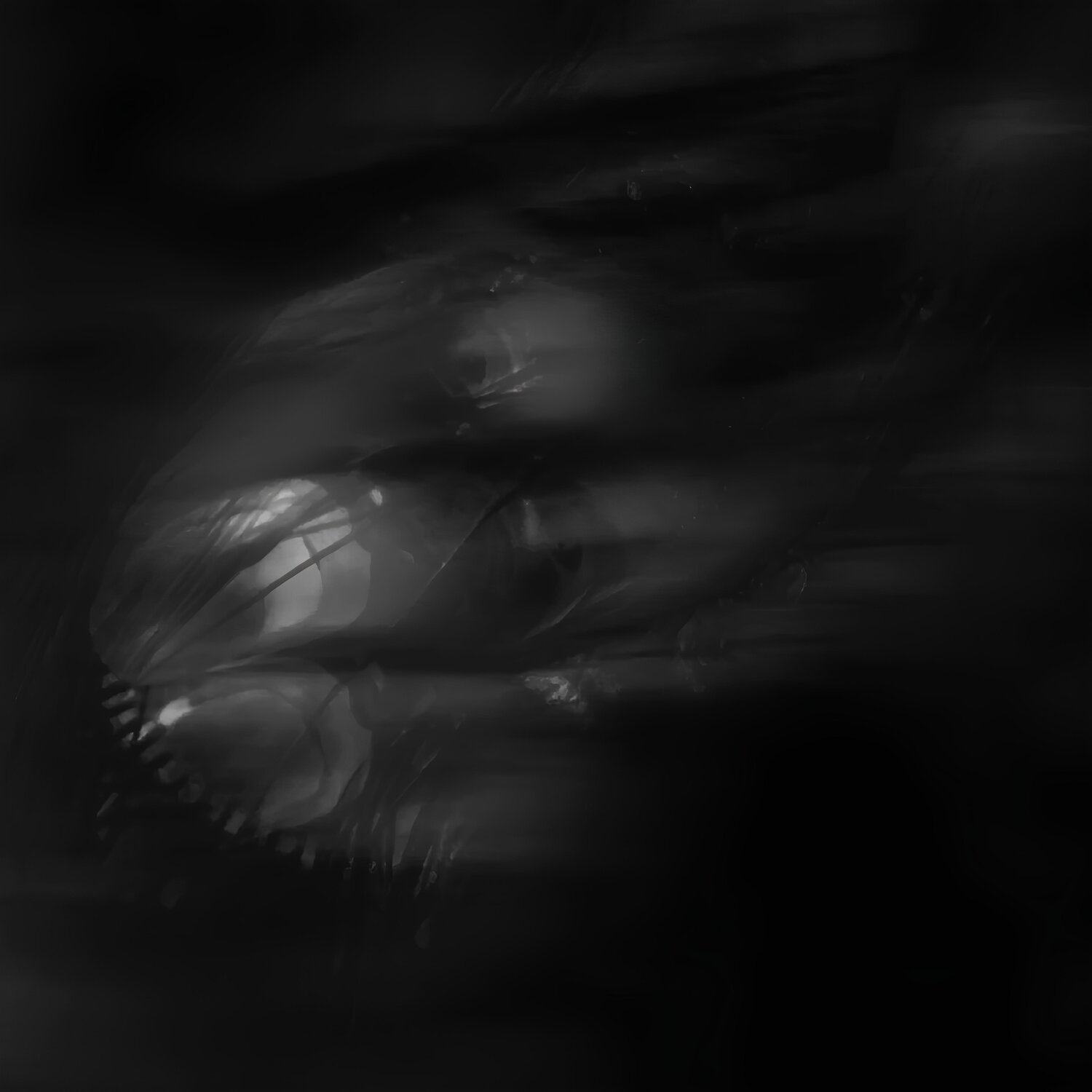 Ataraxia Series - The Black Hole CAR ACT AIR
