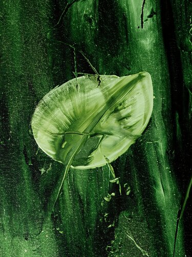 Gelbe Schlauchpflanze, botanischer Garten Frankfurt am Main / Plante tubulaire jaune, jardin botanique de Francfort-sur-le-Main / Yellow hose plant, botanical garden Frankfurt am Main von Peter Schulte/ Vornberg, Fotografie kaufen auf Singulart