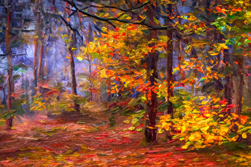 Herbstwald im Nebel im Hochtaunus Gebirge / Forêt automnale dans la brume dans les montagnes du Haut-Taunus / Autumn forest in the fog in the Hochtaunus Mountains von Peter Schulte/ Vornberg, Fotografie kaufen auf Singulart