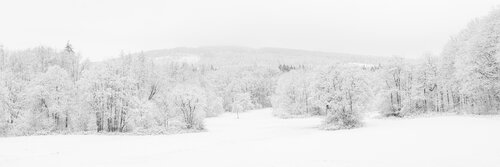 Blick über die Hühnerbergwiese auf den Altkönig (Zweithöchster Berg im Hochtaunus) / Vue sur l'Altkönig (deuxième plus haut sommet du Haut-Taunus) depuis la prairie du Hühnerberg / View across the Hühnerberg meadow to the Altkönig (second highest mountain di Peter Schulte/ Vornberg, Fotografia in vendita su Singulart