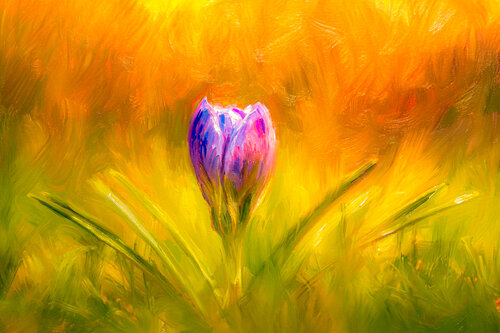 Krokus Art II von Peter Schulte/ Vornberg, Fotografie kaufen auf Singulart