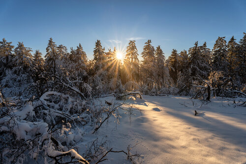Blick vom kleinen Feldberg bei Sonnenuntergang / Vue depuis le petit Feldberg au coucher du soleil / View from the Kleiner Feldberg at sunset von Peter Schulte/ Vornberg, Fotografie kaufen auf Singulart