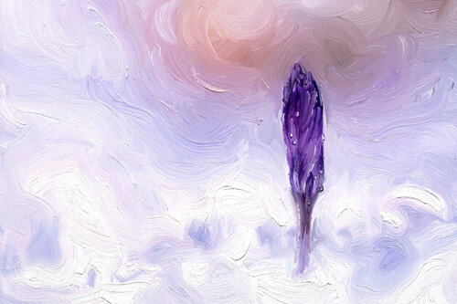 Krokus im Schnee kurz vor Sonnenuntergang by Peter Schulte/ Vornberg, Photography for Sale on Singulart