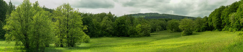 Blick über die Hühnerbergwiese auf den Altkönig (Dritthöchster Berg im Hochtaunus) II / Vue sur l'Altkönig (troisième plus haut sommet du Haut-Taunus) depuis la prairie du Hühnerberg II / View across the Hühnerberg meadow to the Altkönig (third highest mo by Peter Schulte/ Vornberg, Photography for Sale on Singulart