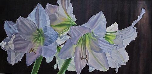Amouryllis van Kimberley Cook, Schilderij te koop op Singulart