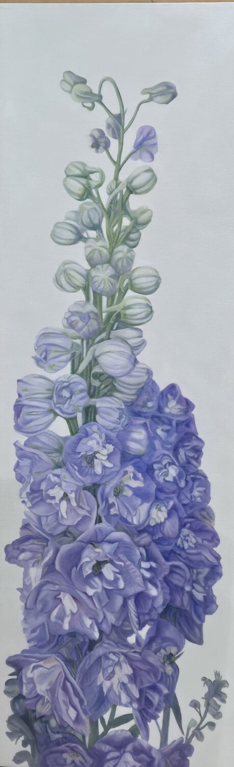 Mount Delphinium Kimberley Cook
