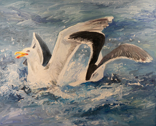 Mantelmöwen van Ute Meyer, Schilderij te koop op Singulart