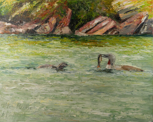 Sterntaucher bei der Fütterung di Ute Meyer, Pittura in vendita su Singulart