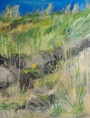 Gelber Huflattich an der Steilküste/ Ærø di Ute Meyer, Pittura in vendita su Singulart