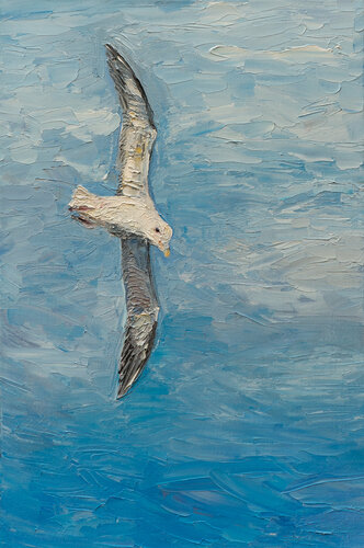 Eissturmvogel im Flug van Ute Meyer, Schilderij te koop op Singulart