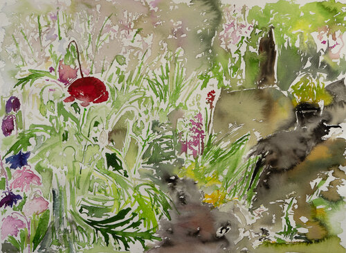 Mohn und Akelei by Ute Meyer, Painting for Sale on Singulart