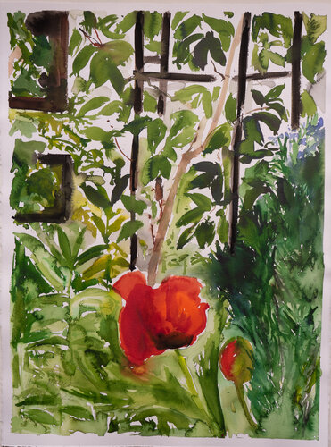 Roter Mohn vor dem Schuppen by Ute Meyer, Work on Paper for Sale on Singulart