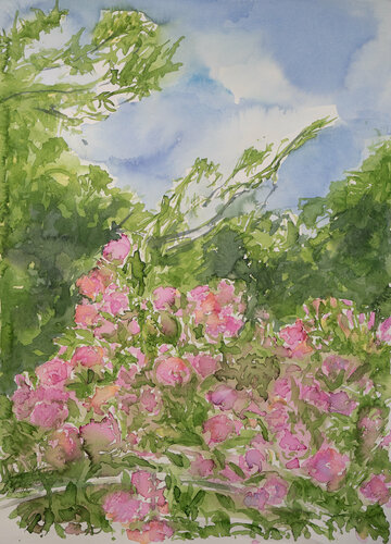 Rosen vor dem Himmel by Ute Meyer, Painting for Sale on Singulart