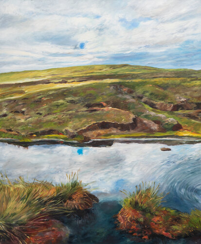 Torfbänke bei Sullom/ Shetland van Ute Meyer, Schilderij te koop op Singulart
