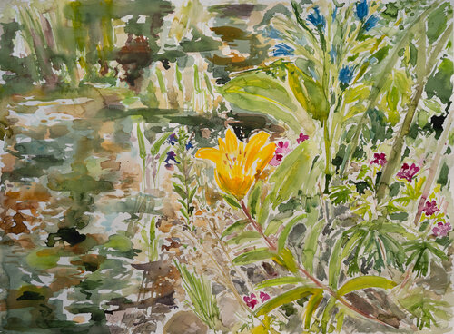 Taglilie und Wegwarte di Ute Meyer, Pittura in vendita su Singulart