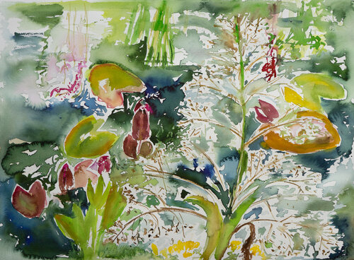 Seerosen und Froschlöffel van Ute Meyer, Schilderij te koop op Singulart