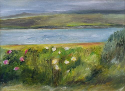 Sullom Voe/ Shetland van Ute Meyer, Schilderij te koop op Singulart