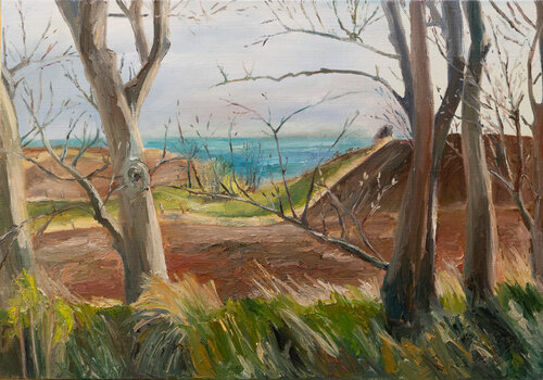 Blick auf das Meer/ Ærø Ute Meyer