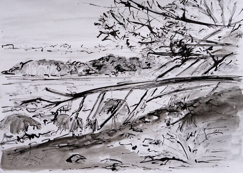 Ostsee / Knudshoved I Ute Meyer