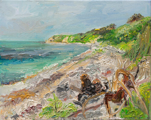Baumwurzel /Ostsee /Jørbæk / Ærø van Ute Meyer, Schilderij te koop op Singulart