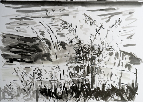 Ostsee / Ærø / Voderup Klint par Ute Meyer, Dessin en vente sur Singulart