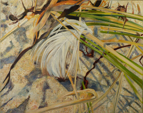 Feder und Halme Ute Meyer