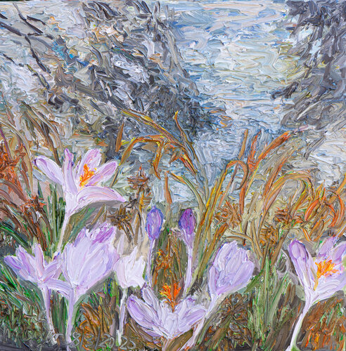 Frühling am Teich / Krokusblüten Ute Meyer