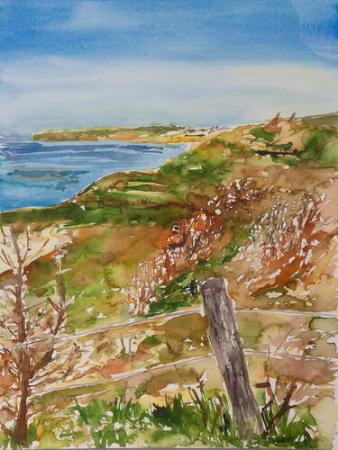 Abendstimmung / Voderup Klint/ Ærø van Ute Meyer, Schilderij te koop op Singulart