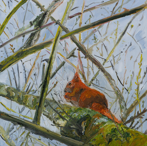 Eichhörnchen II by Ute Meyer, Painting for Sale on Singulart