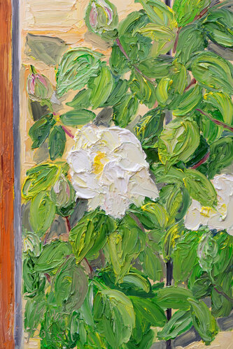 Weiße Rosenblüten an der Hauswand van Ute Meyer, Schilderij te koop op Singulart