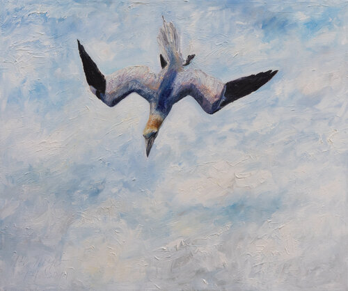 Basstölpel  am Jagen van Ute Meyer, Schilderij te koop op Singulart