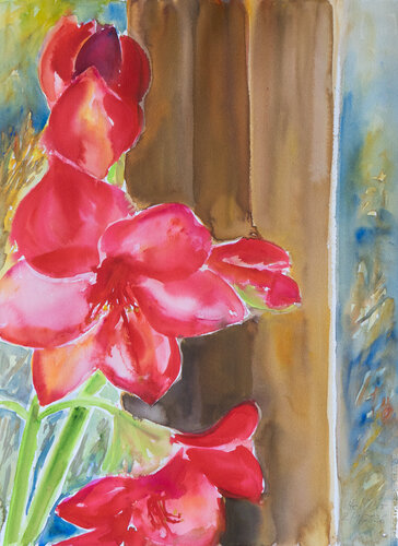 Rote Amaryllis - Blüten vor dem Fenster by Ute Meyer, Painting for Sale on Singulart