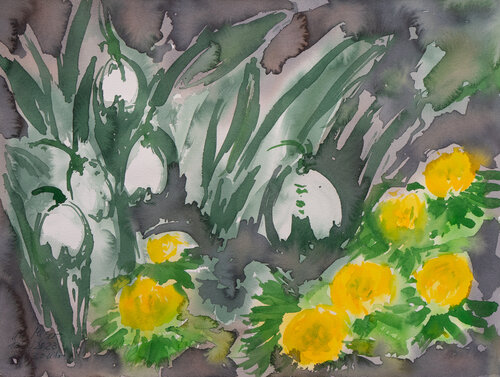 Frühblüher: Schneeglöckchen und Winterlinge von Ute Meyer, Malerei kaufen auf Singulart