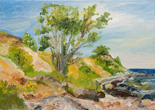 Tag im Mai an der Ostsee / Kegnæs van Ute Meyer, Schilderij te koop op Singulart