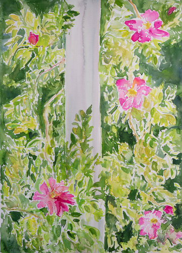 Rosen in der Sonne van Ute Meyer, Schilderij te koop op Singulart