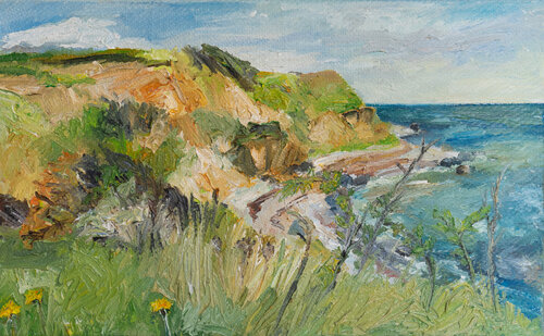 Vitsø /Ærø /Ostsee Ute Meyer