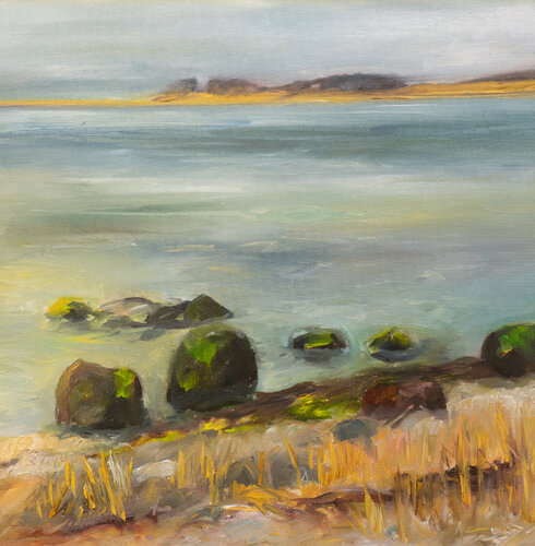 Ruhige Ostsee  / Borgnaes /  Ærø van Ute Meyer, Schilderij te koop op Singulart
