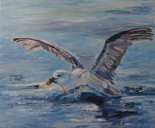 Eissturmvogel beim Starten von Ute Meyer, Malerei kaufen auf Singulart