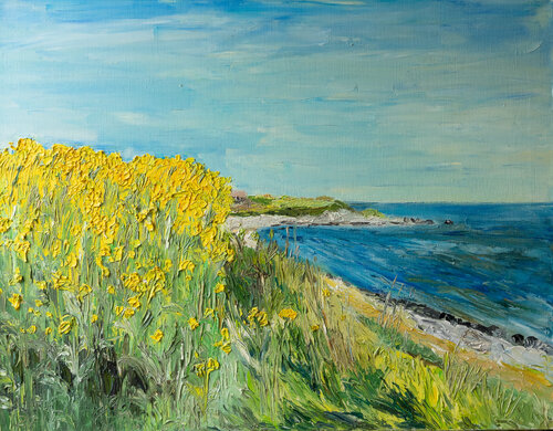 Rapsfeld I  /  Vejsnæs /  Ærø Ute Meyer