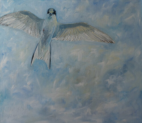 Seeschwalbe by Ute Meyer, Painting for Sale on Singulart