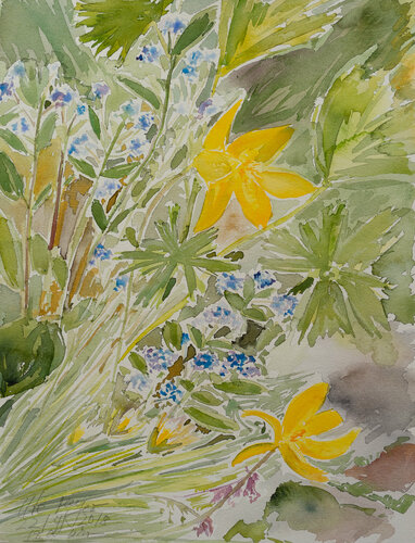 Wildtulpen by Ute Meyer, 종이 for Sale on Singulart