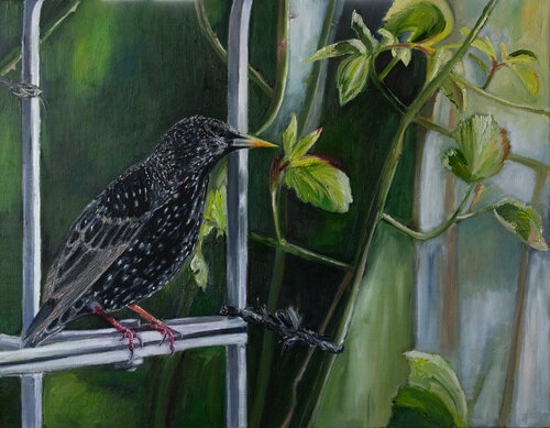 Star von Ute Meyer, Malerei kaufen auf Singulart